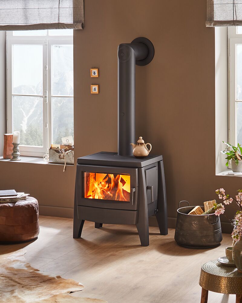 Kaminofen Iron Dog No 07 im Wohnzimmer