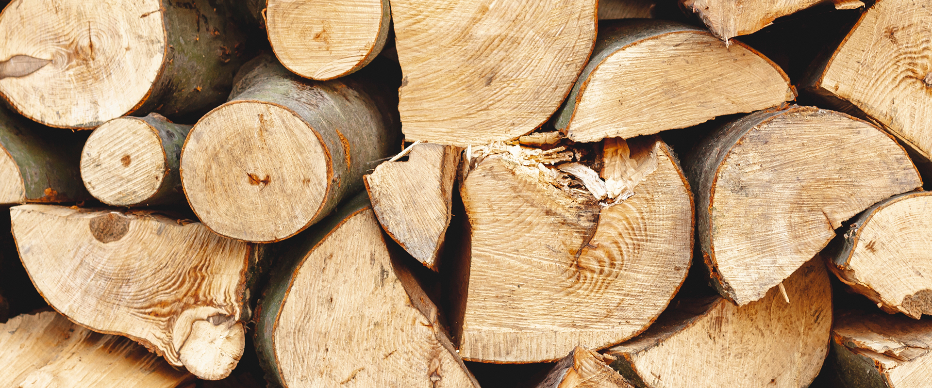 Holzstapel Nahansicht